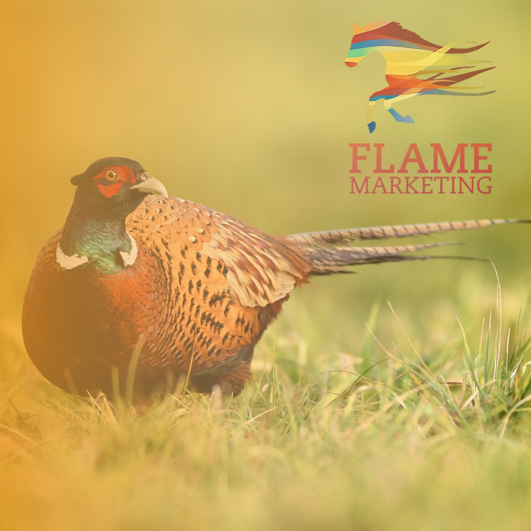 Farm Diversification: Pheasant rearing to boost farm incomes