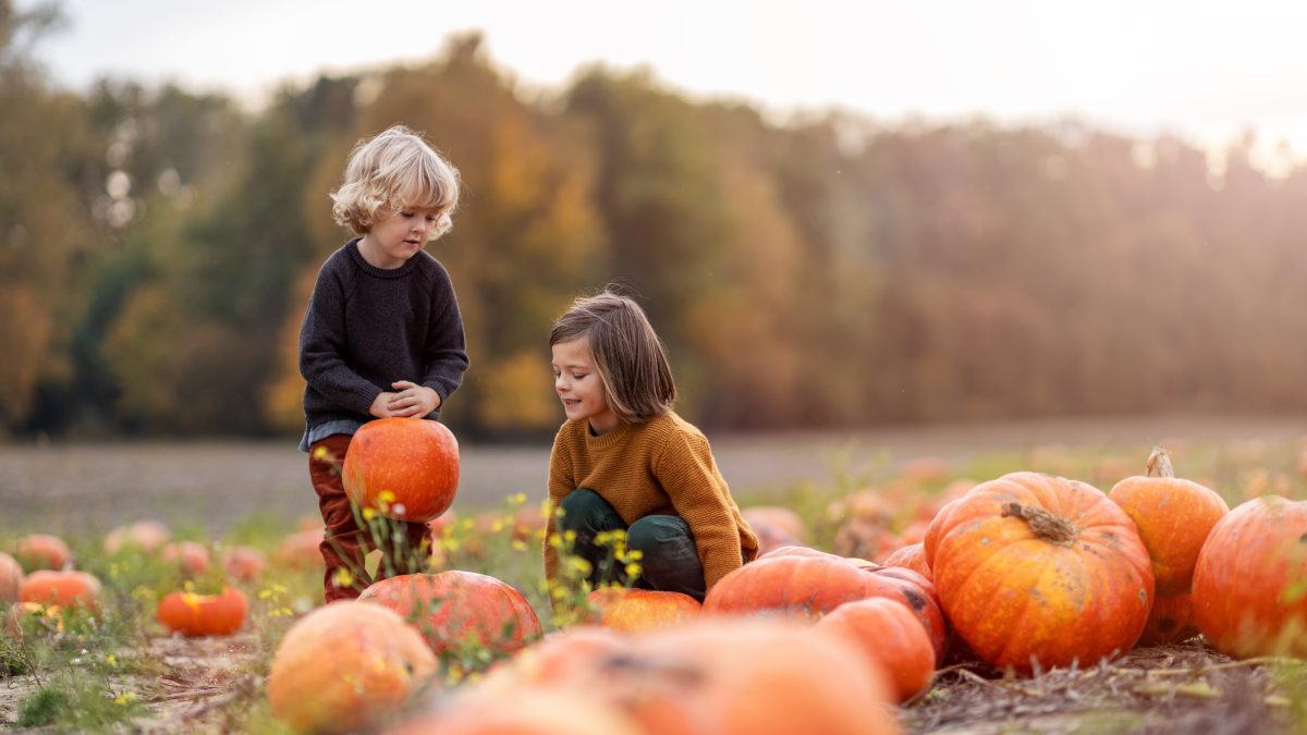 farm diversification events