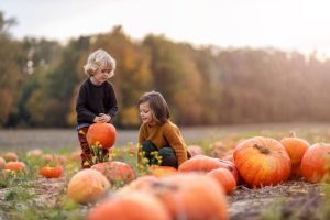 farm diversification events